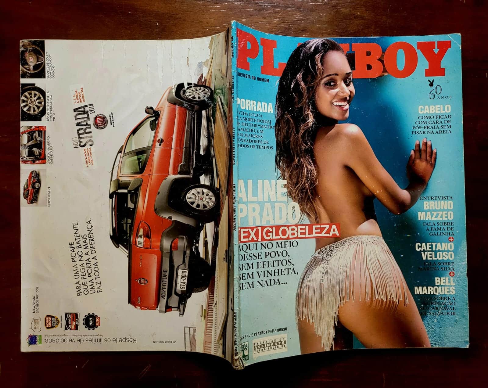 | Casa do Colecionador Playboy Nº 465 | Fevereiro 2014 | Aline Prado | Ex-Globeleza | Playmate: Beau Hesling | Pôster Presente