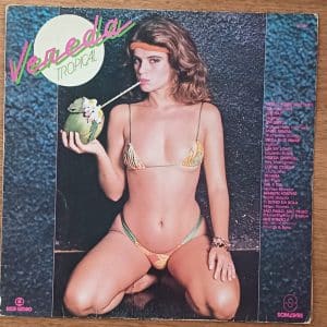 Só a capa do vinil lp tema da novela Vereda tropical