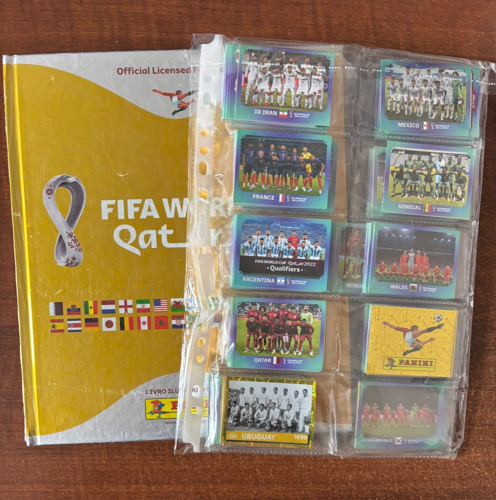 | Casa do Colecionador Álbum copa do mundo 2022 capa ouro