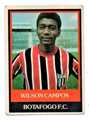 Ping Pong Futebol Cards Botafogo Futebol Clube – Nº 195 – Wilson Campos