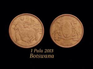 1 Pula 2013 Botsuana Sku 0170