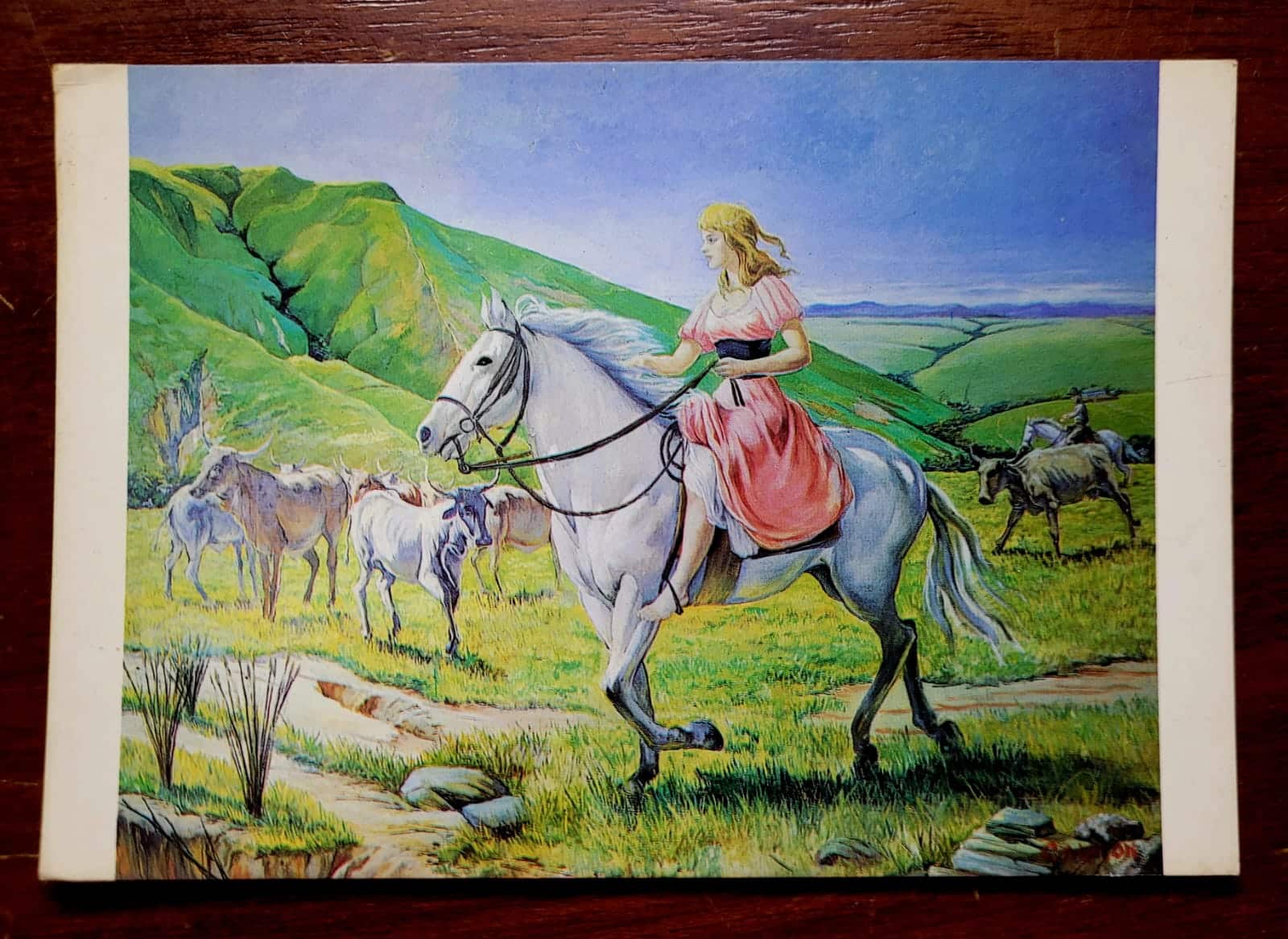 | Casa do Colecionador Cartão Postal - Minas Gerais (Araxá) Quadro Dona Beja