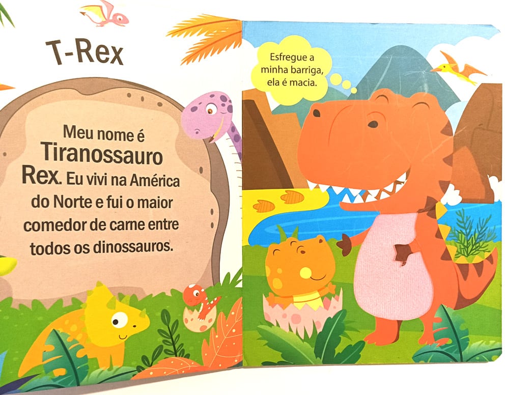 | Casa do Colecionador Conhecendo os Dinossauros, Toque e Sinta!. Pé-de-letra - 2022