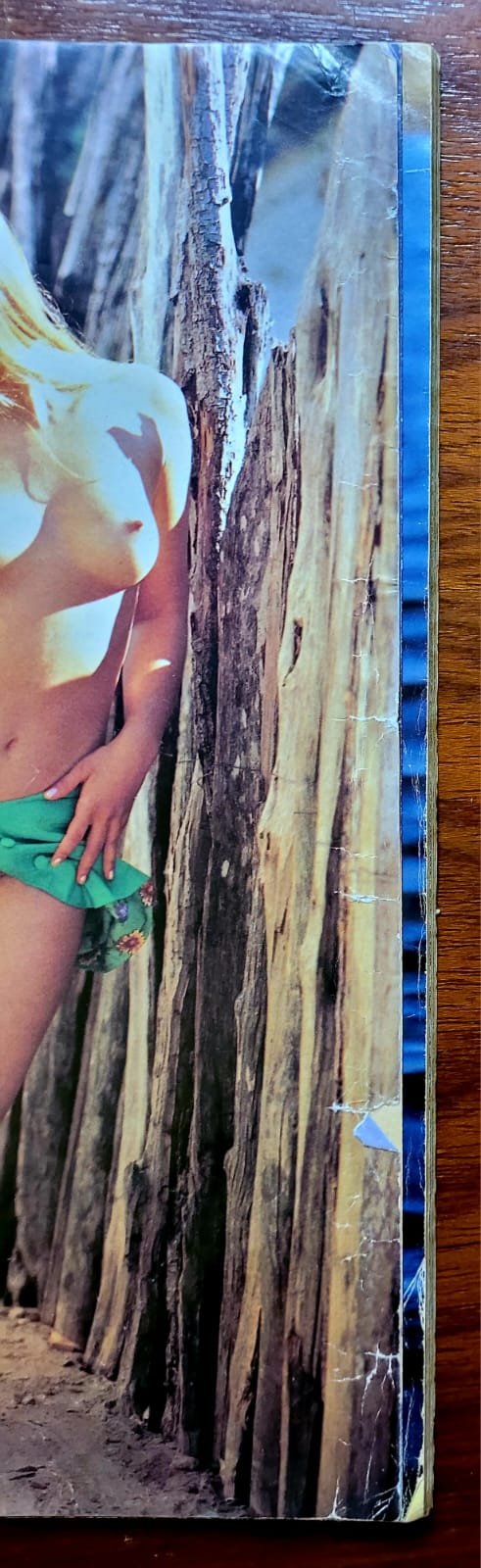 | Casa do Colecionador Playboy Nº 247 | Fevereiro/1996 | Luiza Ambiel | Exemplar de Assinante | Pôster de Nana Gouvêa, Musa do Botafogo