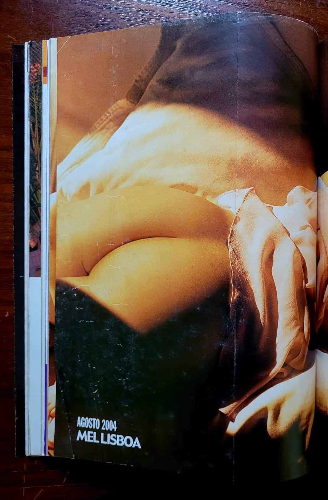 | Casa do Colecionador Playboy Nº 349 | Agosto/2004 | Mel Lisboa | 29 Anos — Edição de Aniversário | Pôster Presente