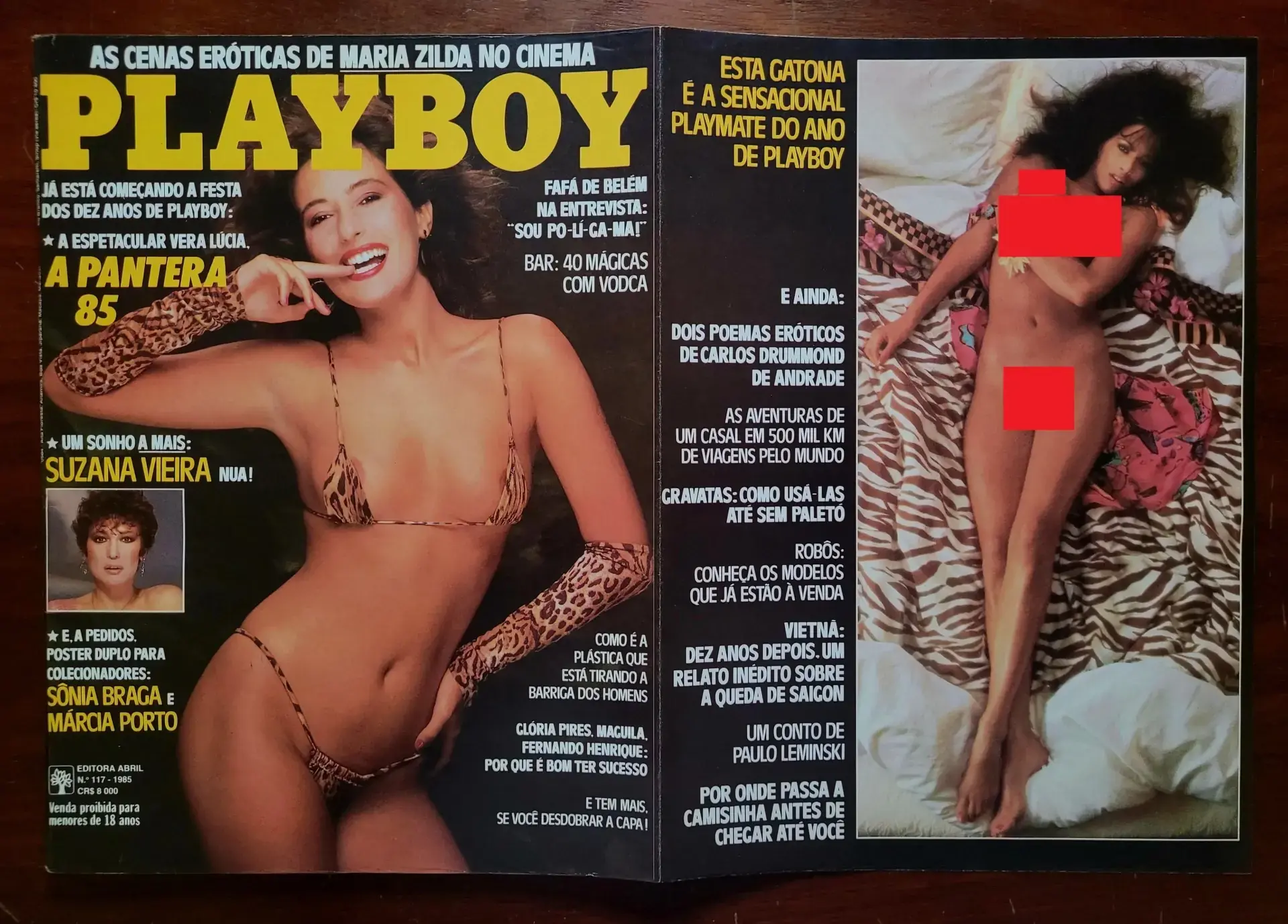 | Casa do Colecionador Playboy Nº 117 | Abril/1985 | Vera Lúcia – Pantera 85 | Pôster Duplo Sônia Braga e Márcia Porto | Capa Desdobrável