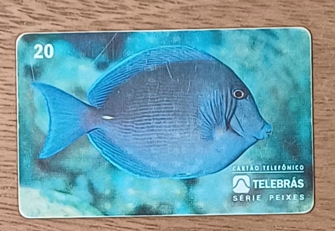 | Casa do Colecionador Cctb. Cartão telefone Brasil Telebrás 1995. Peixes Barbeiro.