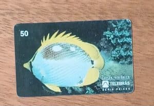 Cctb. Cartão telefone Brasil Telebrás 1995. Peixes Borboleta.