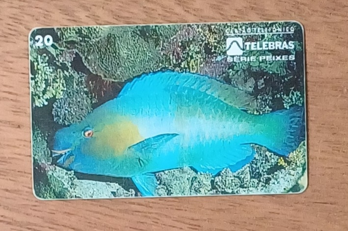 | Casa do Colecionador Cctb. Cartão telefone Brasil Telebrás 1995. Peixes Budião.