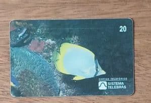 Cctb. Cartão telefone Brasil Telebrás 1998. Ano internacional Oceanos Borboleta