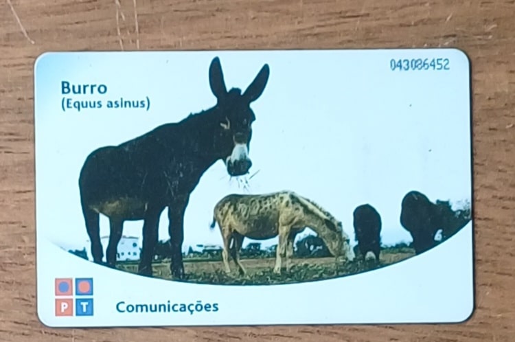 | Casa do Colecionador Ccte. Cartão telefone Portugal Telecom 2002. Fauna espécie em extinção Burro.