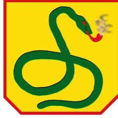 SEBO VIRTUAL FERNANDO