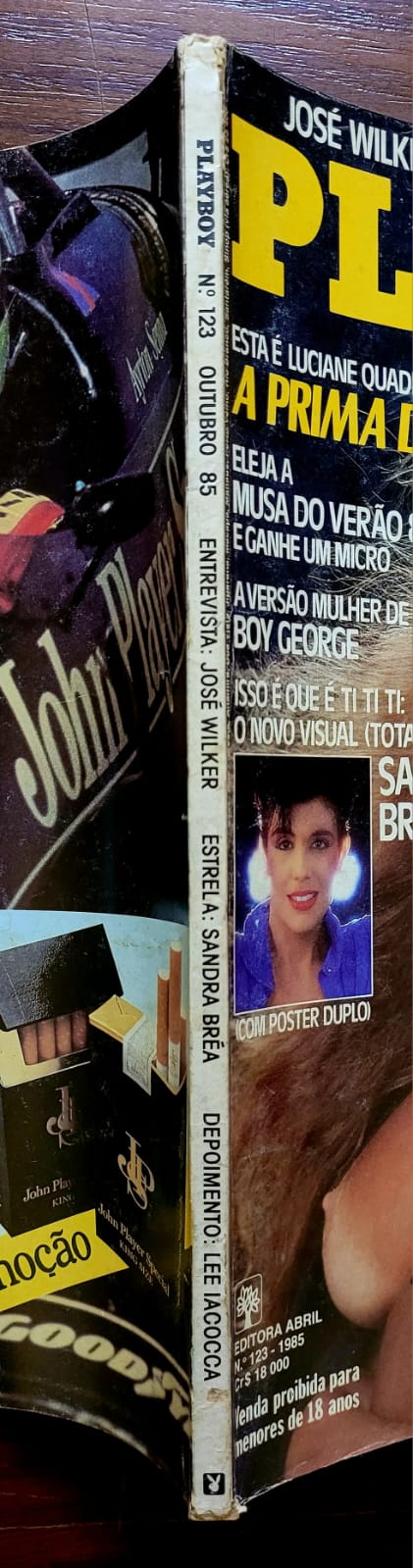 | Casa do Colecionador Playboy Nº 123 | Outubro/1985 | Sandra Bréa | Capa Principal | Pôster Presente | Estado Bom