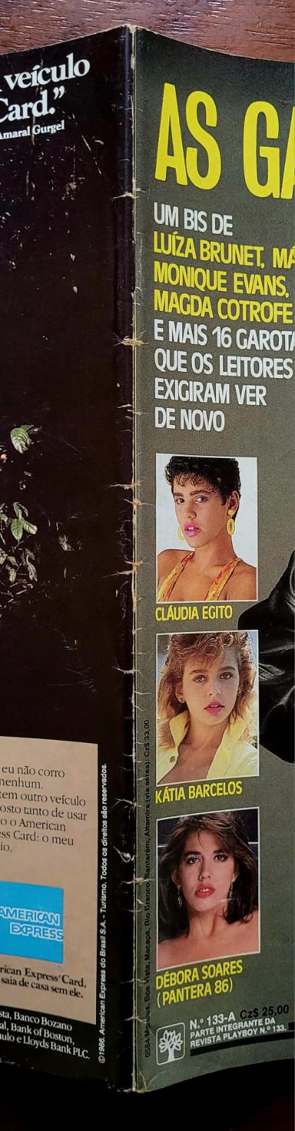 | Casa do Colecionador Playboy Nº 133 | Agosto/1986 | Renée de Vielmond | Pôster Teri Weigel | Edição de 11º Aniversário
