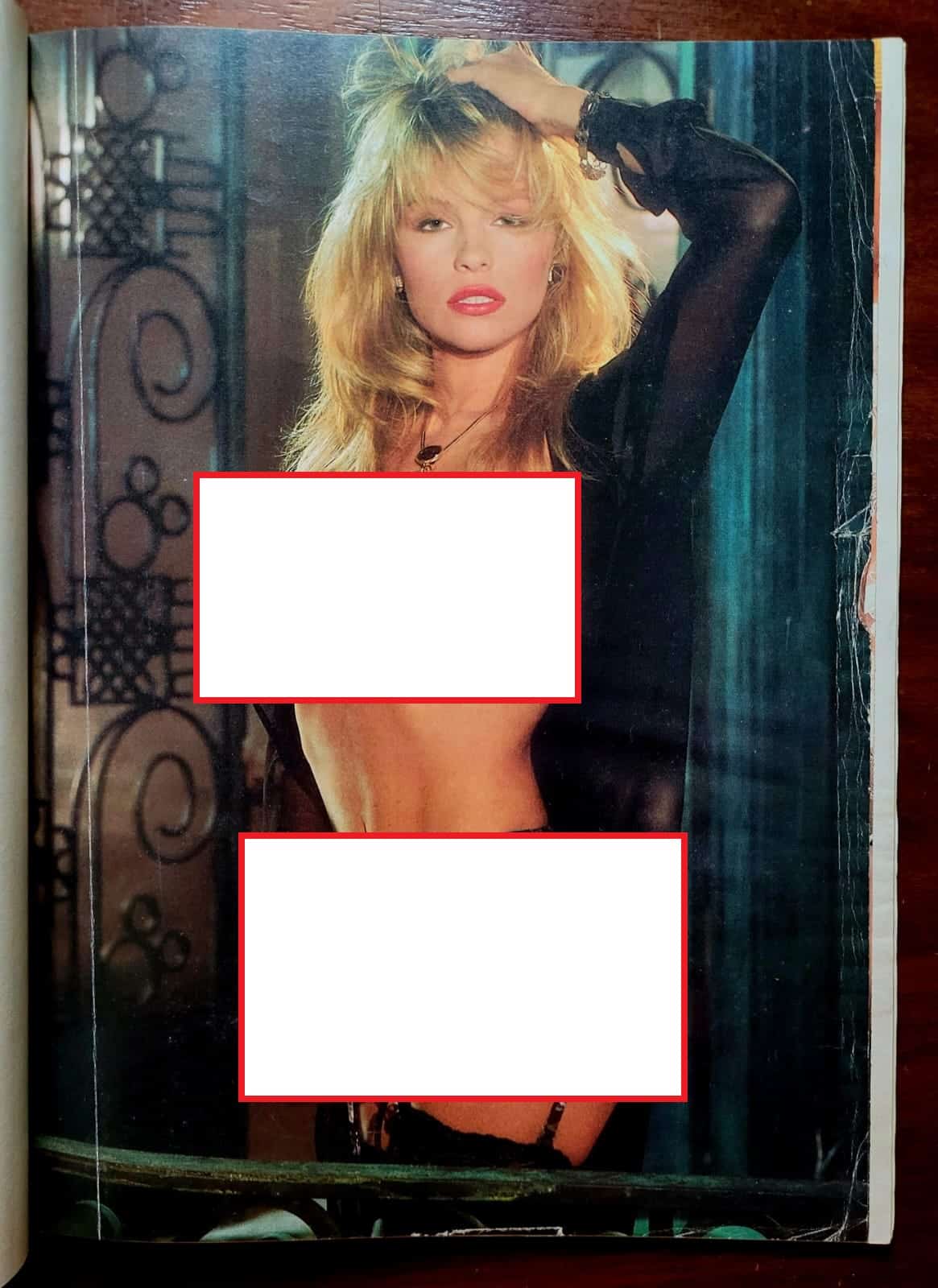 | Casa do Colecionador Playboy Nº 176 | Março/1990 | Luma de Oliveira — Mulher da Década | Pôster AUSENTE
