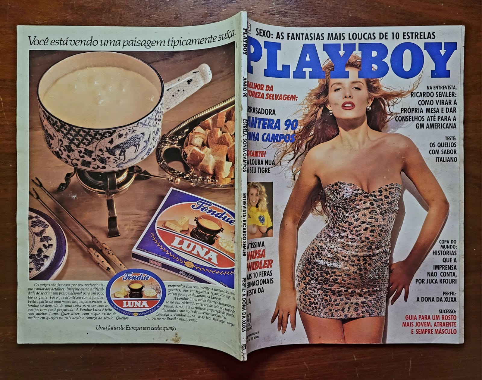 | Casa do Colecionador Playboy Nº 179 | Junho/1990 | Sônia Campos — Pantera 90 | Pôster da Vanusa Spindler Presente | Edição de Banca