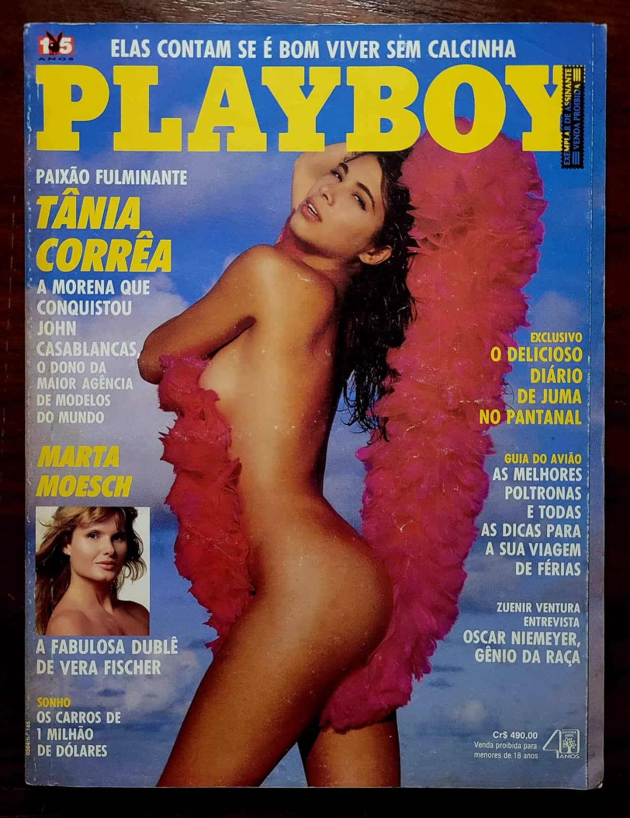 | Casa do Colecionador Playboy Nº 185 | Dezembro/1990 | Tânia Corrêa | Pôster de Morgan Fox Presente | Exemplar de Assinante