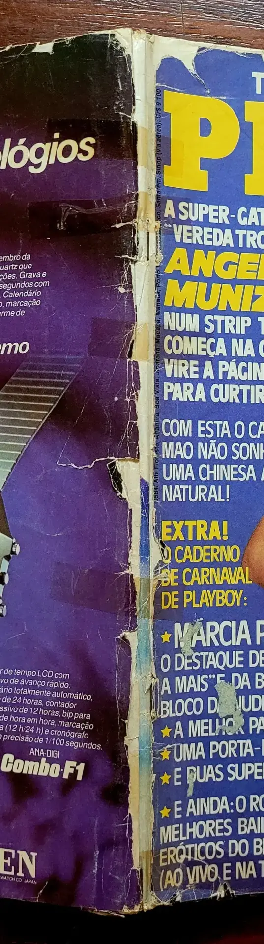 | Casa do Colecionador Playboy Nº 115 | Fevereiro/1985 | Angelina Muniz | Edição de Banca | Sem Pôster - Imagem 3