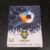 Álbum de Figurinhas – Campeonato Brasileiro 2013 – Incompleto (SUCATA)