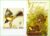 Burkina Faso – Aves – 1985 – Ilustrações de Audubon – Bloco sem perfuração com ilustração – 2