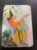 Calendário de Bolso (Tema Animais – Aves) Ano 1984