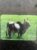 Calendário de Bolso (Tema Animais – Bovinos) Ano 2007
