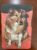 Calendário de Bolso (Tema Animais – Cachorros) Ano 1976