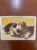 Calendário de Bolso (Tema Animais – Cachorros) Ano 1981