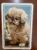 Calendário de Bolso (Tema Animais – Cachorros) Ano 1985