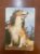 Calendário de Bolso (Tema Animais – Cachorros) Ano 1987