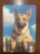 Calendário de Bolso (Tema Animais – Cachorros) Ano 1992