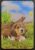 Calendário de Bolso (Tema Animais – Cachorros) Ano 1995