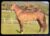 Calendário de Bolso (Tema Animais – Cavalos) Ano 1994