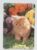 Calendário de Bolso (Tema Animais – Gatos) Ano 1993