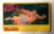 Card Holográfico (Revista Ação Games) E. Honda (Street Fighter) 1993