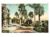 Cartao Postal Antigo – Portugal – Lisboa – Jardim de São Pedro d´Alcantara – Anos 1910
