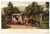 Cartao Postal Bullrock Carro – Madeira – Portugal – Anos 20