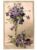 Cartao Postal – Flores – Anos 1920