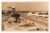Cartao Postal Fotografico – Avenida Duque De Caxias – Maceió – Anos 50