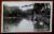Cartão Postal – Minas Gerais (Juiz de Fora) Parque Mariano Procópio com Cisnes – Foto Postal Colombo – Datado de 1959