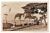 Cartao Postal Paranaguá ( PR ) – Panorama Do Porto – Anos 50
