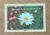 Cartão Postal Paulinas Natureza 6. Fiquei feliz por te encontrar.
