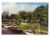 Cartao Postal – Praça Luz Pereira Lima – Arapiraca – Alagoas – Anos 1970 – Cluposil