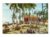 Cartao Postal – Praia da Boa Viagem – Restaurante e Churrascaria – Recife – Pernambuco – Anos 1960 – Paraná Cart