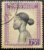 Congo Belga – SW Nº 0247 – Emissão Definitiva – 23/05/1942 – Selo Usado