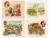 Cromocart 4 Cromos – Datas E Eventos Historia Brasil Anos 70