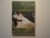 DVD – Buena Vista Social Club / “” Filme vencedor de 10 prêmios / Oscar 2000″” – Muito bom