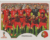 figurinha copa do mundo 2018 Portugal nº113