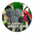 Kit 2 moedas Fauna Brasileira 5 Cr$ 1993/1994 Sku 1354