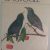 Llivro Singvögel – Dausien, 1980 – Raridade